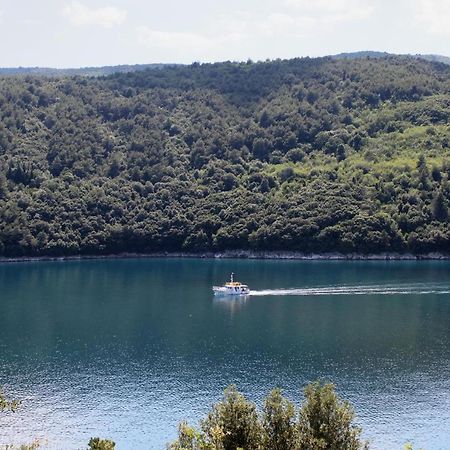 Apartments By The Sea Duga Luka - Prtlog, Labin - 3025 Exterior foto